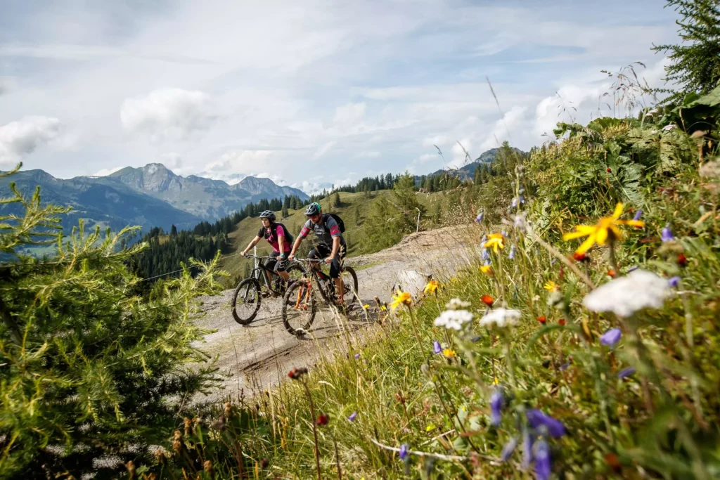 Zwei Mountainbiker fahren auf einem Bergweg mit Alpenpanorama und bunten Wildblumen im Großarltal, Hohe Tauern.